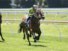 Amirati pronto para o próximo teste de Derby do Grupo 1 na Nova Zelândia