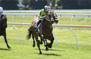 Amirati pronto para o próximo teste de Derby do Grupo 1 na Nova Zelândia