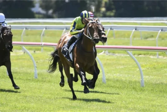 Amirati pronto para o próximo teste de Derby do Grupo 1 na Nova Zelândia