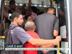 Viações Real e Vila Isabel têm mais de 200 autocarros programados para circular até esta sexta-feira