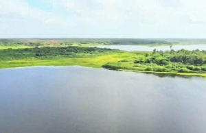 Busca por crianças desaparecidas em MA entra no 8º dia com quase 600 pessoas, entre seguranças e voluntários