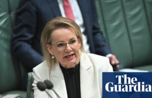 Liberais seniores dizem que a liderança de Susan Ley está quase no fim após a divisão da coalizão