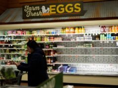 Última tempestade de inverno: 18 estados declaram emergência enquanto tempestade com ‘risco de vida’ atinge os EUA