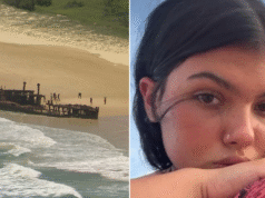 Dingo será sacrificado após morte de adolescente em Kegari