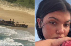 Dingo será sacrificado após morte de adolescente em Kegari