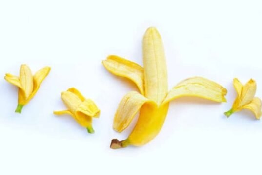 Uma série de problemas genitais masculinos que podem aparecer com o aumento da idade