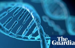 Google DeepMind lança ferramenta de IA para ajudar a identificar fatores genéticos da genética de doenças