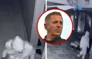 Roubo de Greg Biffle capturado em vídeo de vigilância, dinheiro, presentes da NASCAR, armas levadas