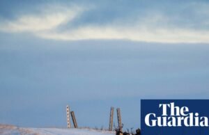 Resumo da melhor crítica de ficção traduzida recentemente Imaginação