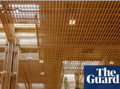 Escolas, aeroportos, arranha-céus: arquitetos são incentivados a serem edifícios verdes ‘prontos para o bambu’