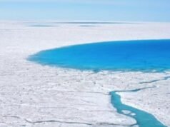 não queremos ser americanos