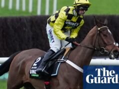 Sir Gino descartou a barreira internacional com suspeita de lesão pélvica. corrida de cavalos