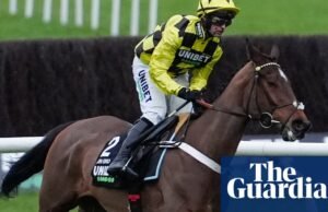 Sir Gino descartou a barreira internacional com suspeita de lesão pélvica. corrida de cavalos