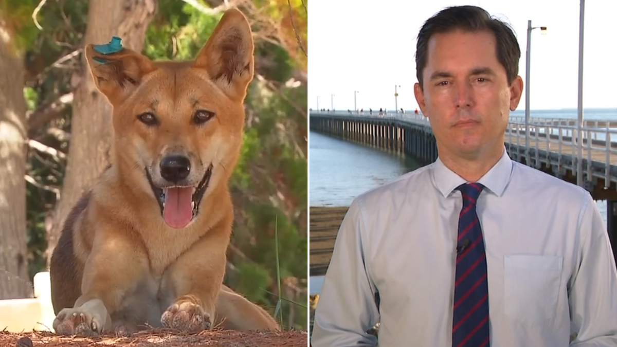 Prefeito de Fraser Coast pede que crianças sejam proibidas de acampar em Kegari após a morte de adolescente