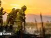 Um morto e 300 edifícios destruídos nos incêndios florestais na Austrália