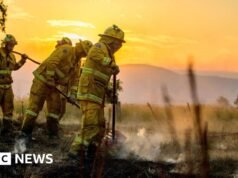 Um morto e 300 edifícios destruídos nos incêndios florestais na Austrália