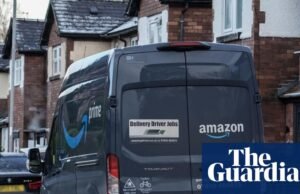 ‘Ladrão de gatos’ da Amazon filmado roubando animais de estimação de gatos de Yorkshire