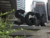 SGX renomeia negócio de ações para SGX Stock Exchange para comemorar o 60º aniversário da STI