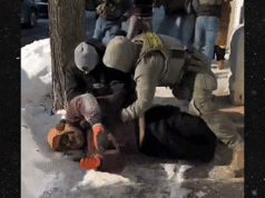 Agentes da Patrulha da Fronteira entram em confronto com transeuntes após o tiroteio fatal de Alex Pretty