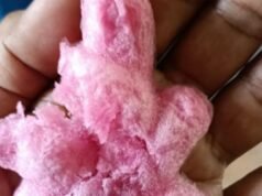 A polícia garante que o gelo de cortiça e o gelo para bolo são seguros e adequados para consumo, não são feitos de esponja