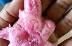 A polícia garante que o gelo de cortiça e o gelo para bolo são seguros e adequados para consumo, não são feitos de esponja