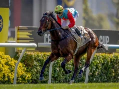 Ka Ying Rising, mais uma vez o guerreiro romântico incomparável