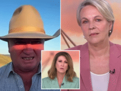 Debate energético: Tanya Plibersek e Barnaby Joyce entram em conflito com Nat Barr sobre o aumento das contas de eletricidade