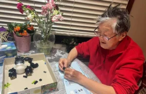 Uma avó chinesa de 85 anos monta seu hobby, blocos de Lego, no Canadá.