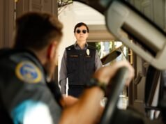 pássaros ensacados e cães de rua