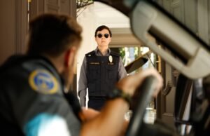 pássaros ensacados e cães de rua