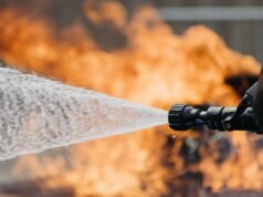 Este fundador venceu o combate a incêndios e agora está construindo uma mina de ouro de IA