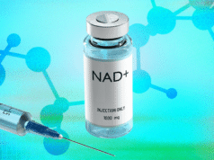 Suplemento NAD+ 101: Possíveis benefícios e precauções explicados (2026)