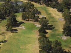 Elogios ao piloto de raciocínio rápido que pousou com sucesso no Mona Vale Golf Club em Sydney