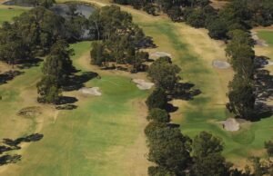 Elogios ao piloto de raciocínio rápido que pousou com sucesso no Mona Vale Golf Club em Sydney