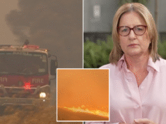 A primeira-ministra vitoriana, Jacinta Allen, defende o financiamento e os recursos do CFA em meio à crise dos incêndios florestais