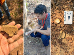 A família descobre o sítio arqueológico durante escavações para construir uma cerca na fazenda no Tocantins