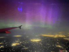 Homem olha pela janela em um voo para LAX e não consegue acreditar no que está vendo