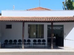 Crânio de menino é rasgado por ataque de pit bull