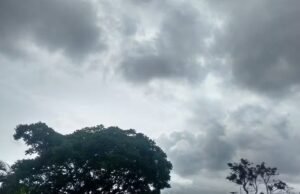 Piauí tem alerta de perigo por chuva forte e baixa umidade neste domingo (25); Veja as diretrizes