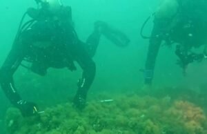 Mergulhadores encontram navio de ataque da Segunda Guerra Mundial em SP