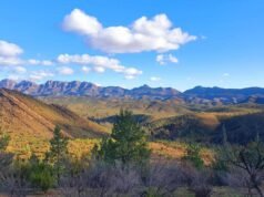 Sítio fóssil australiano de 600 milhões de anos adicionado à lista do Patrimônio Mundial