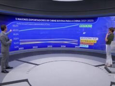 Carne bovina: Com quantidades recordes em janeiro, cota de embarque de proteína do Brasil para a China expira em setembro, projeta pesquisa da USP