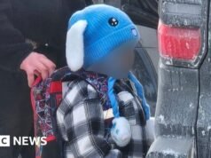 Filho, 5 anos e pai detidos pelo ICE retornam a Minnesota após serem libertados