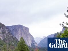 Trump nomeia executivo de hospitalidade para liderar a administração de Trump do Serviço Nacional de Parques