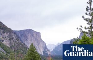 Trump nomeia executivo de hospitalidade para liderar a administração de Trump do Serviço Nacional de Parques