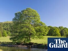 A corrida para encontrar a fonte de PFA cancerígeno nas águas de Cumbria e Lancashire PFAS