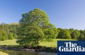 A corrida para encontrar a fonte de PFA cancerígeno nas águas de Cumbria e Lancashire PFAS