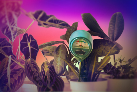 Minhas plantas continuaram morrendo até que experimentei este dispositivo de US$ 13