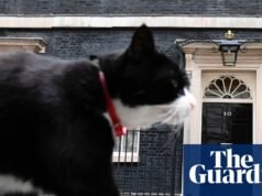 O Chefe Mouser Palmerston morre após a troca do Ministério das Relações Exteriores para as Bermudas. gatos