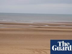 Ouropel para paredes de maré: árvores de Natal descartadas reutilizadas para proteger a costa de Lancashire